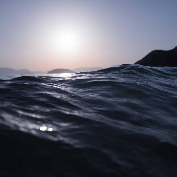 Classic Berry Vest (6-7y)