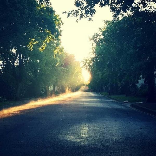 Classic Berry Tutu Dress (7-8y)