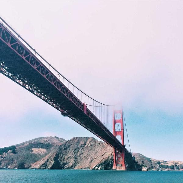 Playful Cream T-Shirt (7-8y)