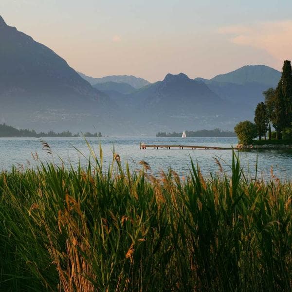 Comfy Navy T-Shirt (8-9y)