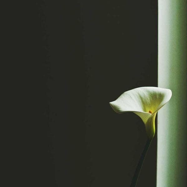 Snug Blush Sleep Sack (9-10y)