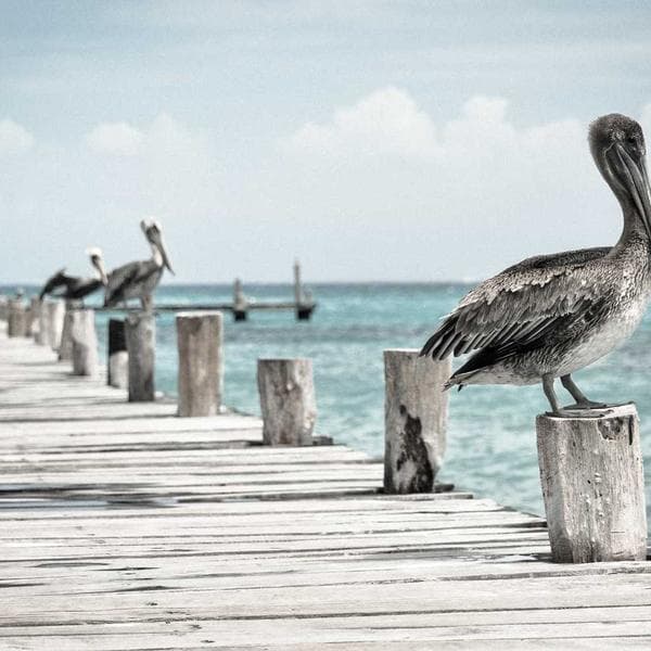 Soft Charcoal Nightgown (9-10y)