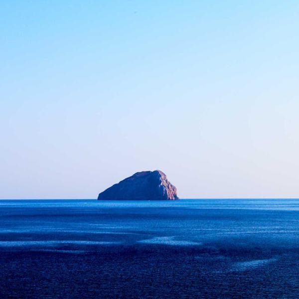 Vintage Mustard T-Shirt (9-10y)