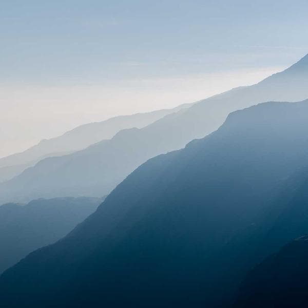 Vintage Mustard Shorts (9-10y)