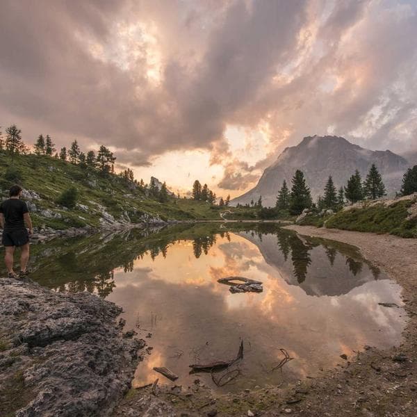 Modern Mustard Tutu Dress (0-6mo)