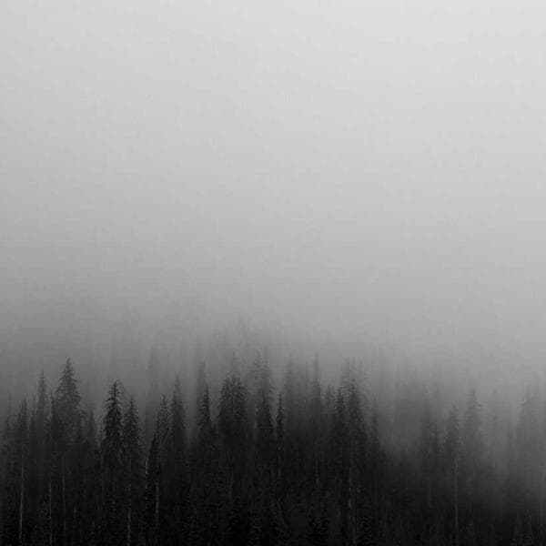 Classic Olive T-Shirt (0-6mo)