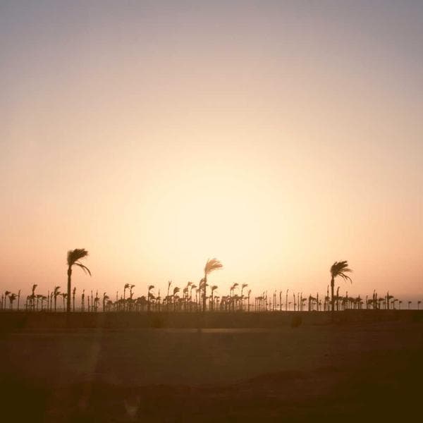 Playful Navy T-Shirt (6-12mo)