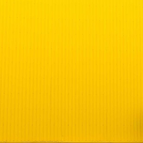 Bright Peach Shorts (1-2y)