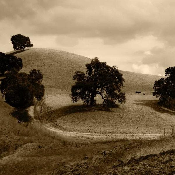 Crisp Mint Bathrobe (1-2y)