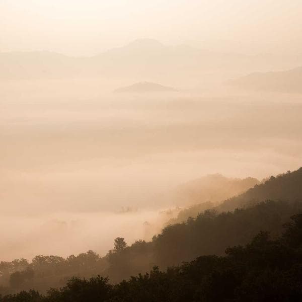 Vintage Slate Tutu Dress (2-3y)