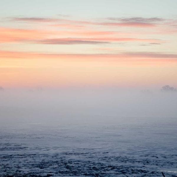 Playful Sand T-Shirt (3-4y)