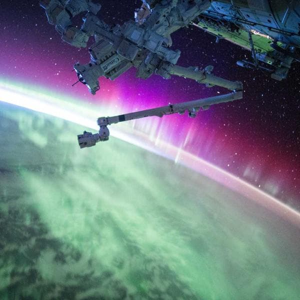 Cute Sand 2-Piece Set (3-4y)