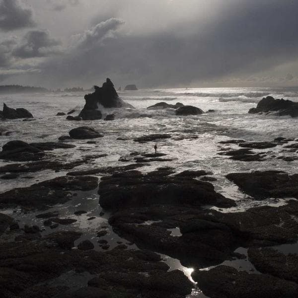 Organic Berry T-Shirt (3-4y)