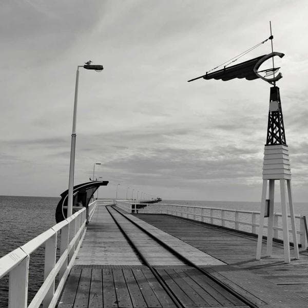 Comfy Cream T-Shirt (4-5y)