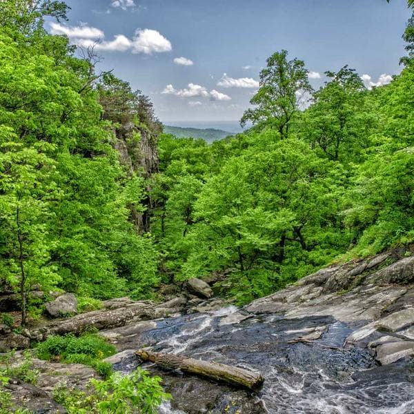 Cosy Navy Tutu Dress (5-6y)