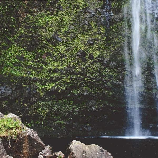 Organic Powder Blue Shorts (0-6mo)