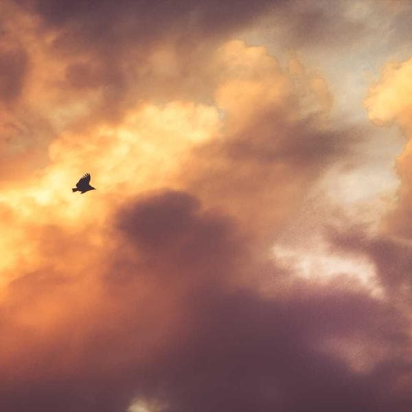 Bright Sand Shorts (6-12mo)