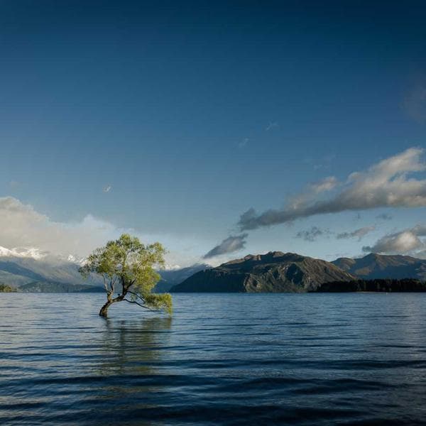 Comfy Charcoal Nightgown (1-2y)