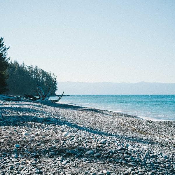 Modern Sage 2-Piece Set (2-3y)