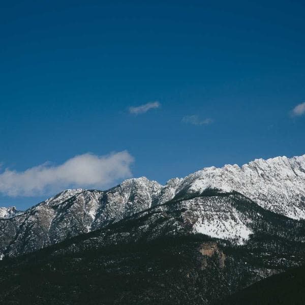 Playful Navy 3-Piece Set (2-3y)