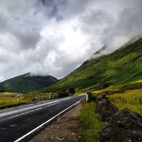 Organic Blush Vest (3-4y)