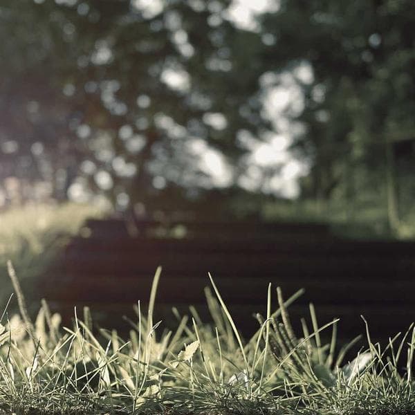 Bright Mustard Socks (1-2y)