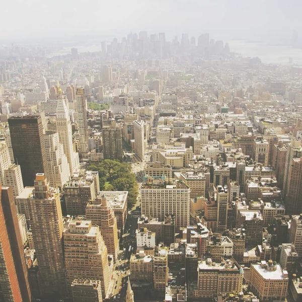 Crisp Olive Shorts (4-5y)