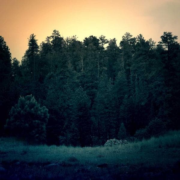 Vintage Lilac 2-Piece Set (5-6y)