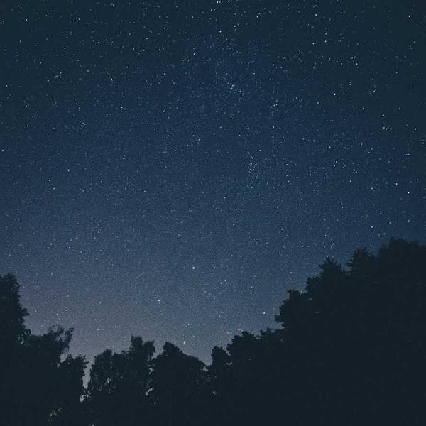 Breezy Mustard Shorts (1-2y)