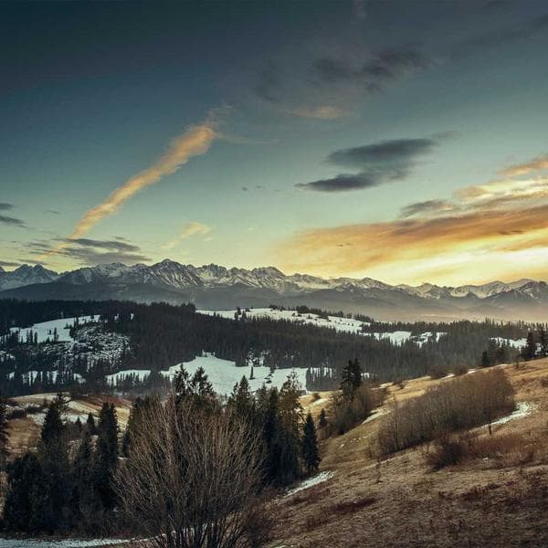 Premium Peach Outfit Bundle (6-7y)