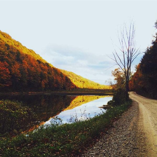 Bright Slate Shorts (7-8y)