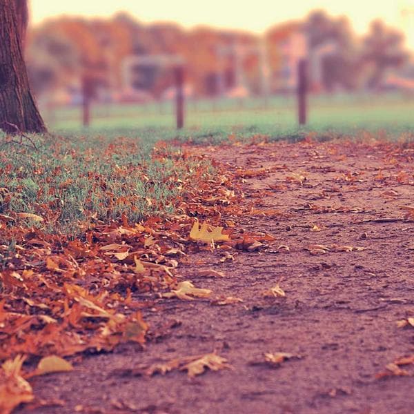 Soft Sand T-Shirt (8-9y)