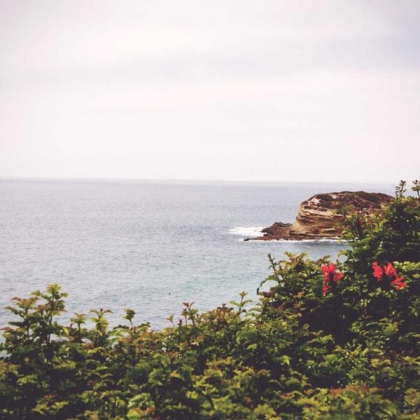 Playful Cream Mittens (9-10y)