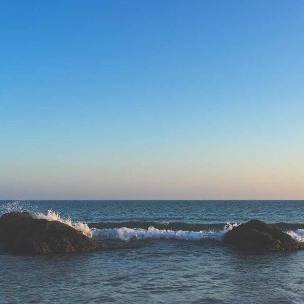 Premium Sage T-Shirt (9-10y)