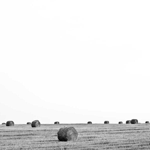 Snug Blush Onesie Pack (6-12mo)