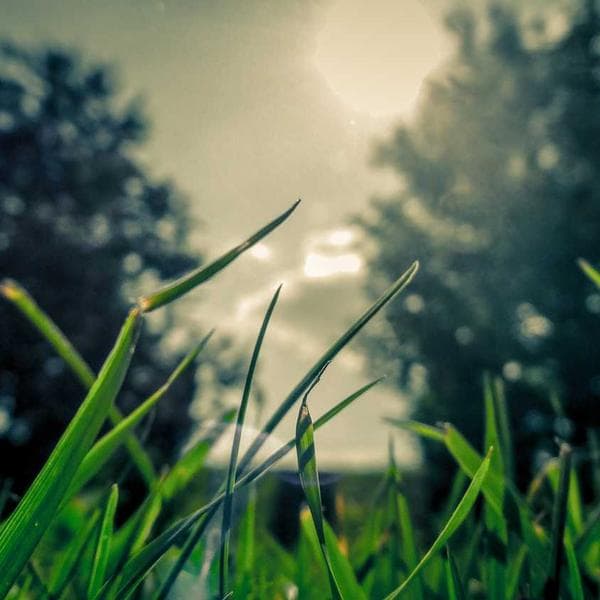 Crisp Blush A-Line Dress (6-12mo)