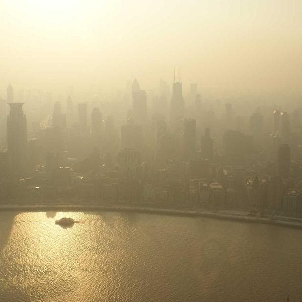 Soft Olive Outfit Bundle (2-3y)