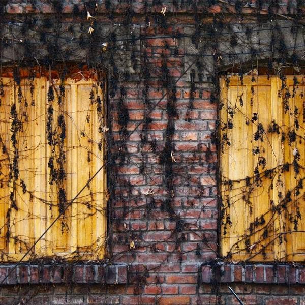 Sporty Rust Romper (2-3y)