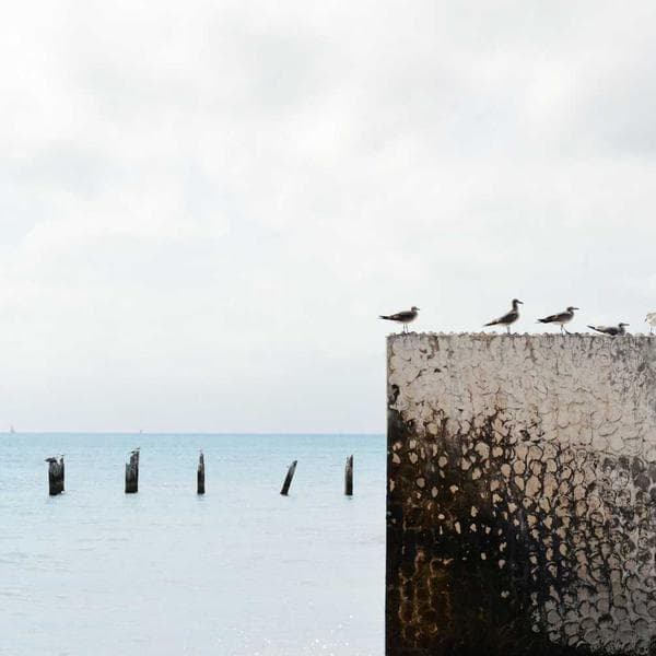 Snug Mint T-Shirt (3-4y)