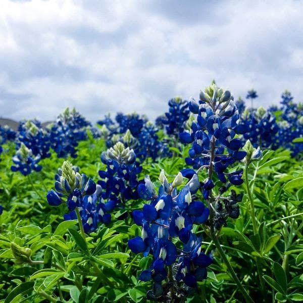 Soft Mint Pinafore (4-5y)