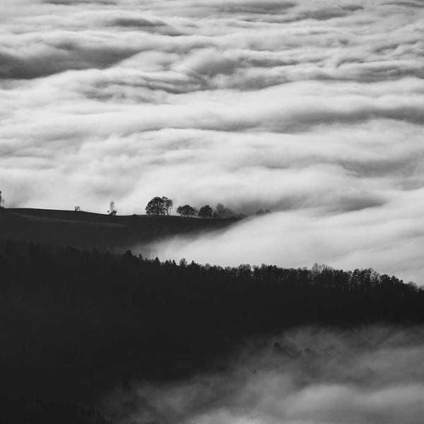 Modern Powder Blue Shorts (4-5y)