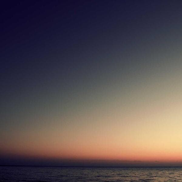 Organic Berry T-Shirt (5-6y)