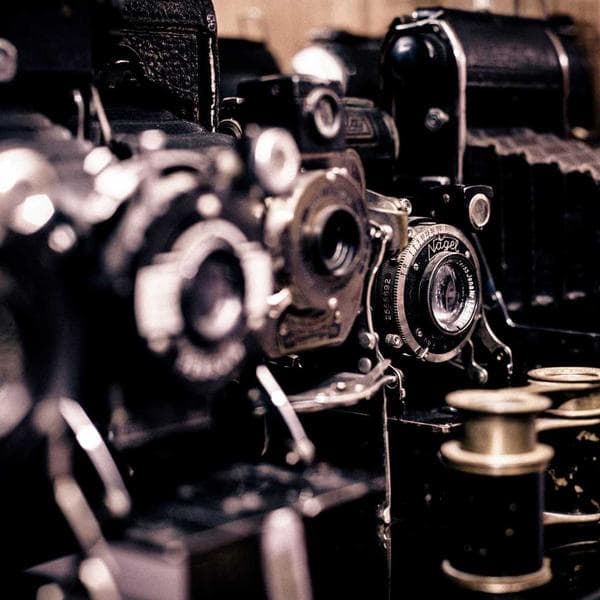 Organic Berry Shorts (6-7y)