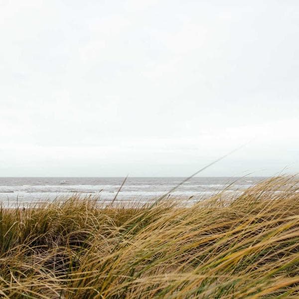 Bright Cream Vest (6-7y)