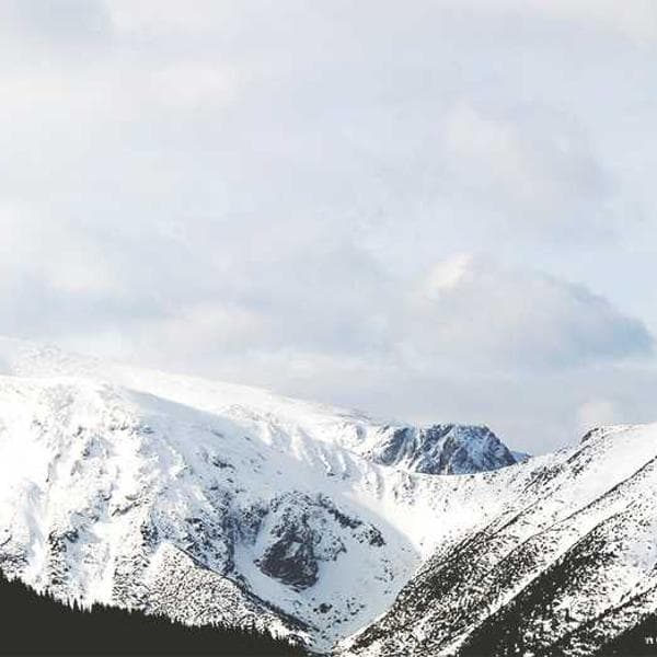 Breezy Sage T-Shirt (7-8y)