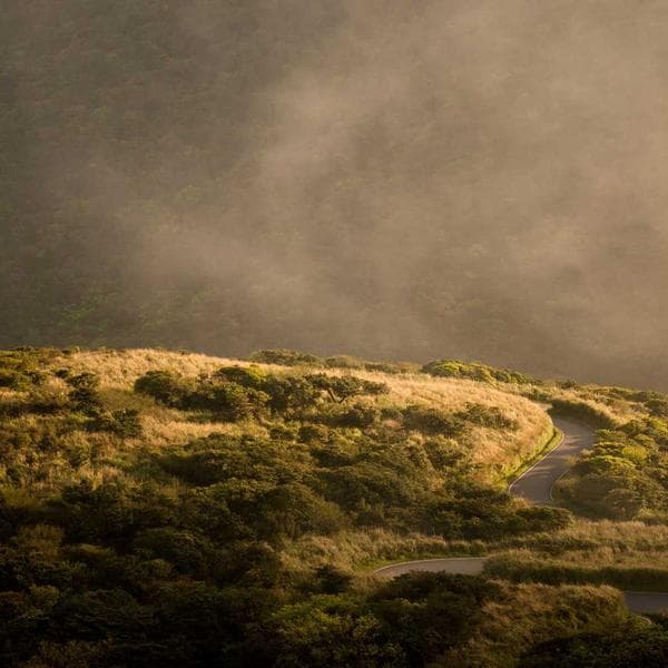 Modern Lilac Vest (3-4y)