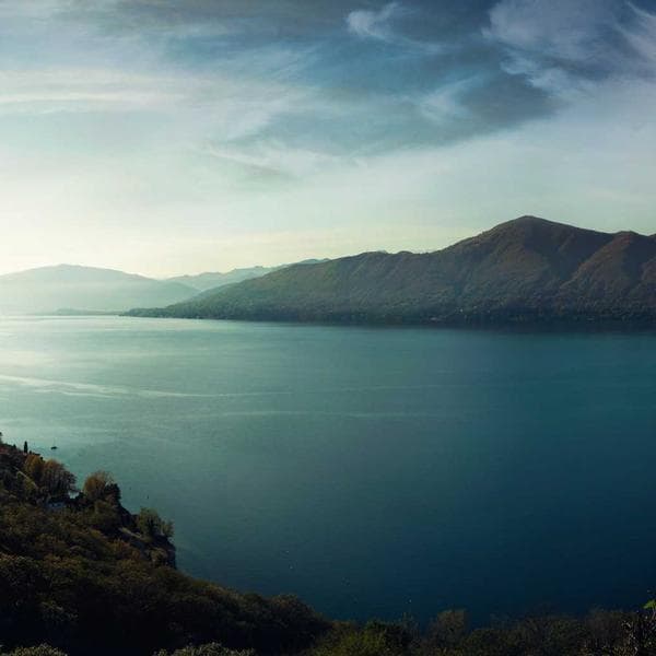 Soft Navy Shorts (7-8y)