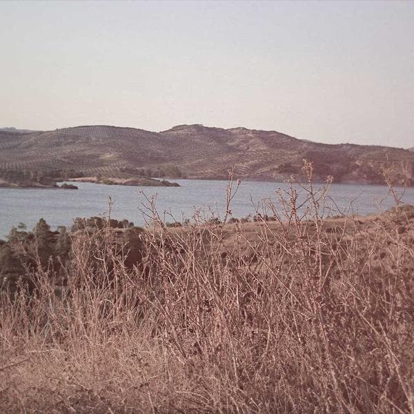 Bright Olive A-Line Dress (0-6mo)