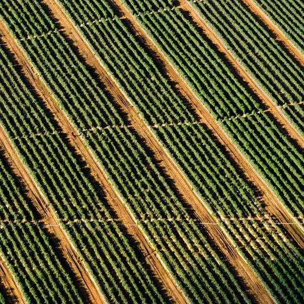 Bright Lilac Hairband (0-6mo)