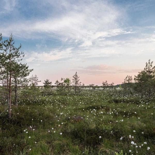 Breezy Lilac Sleep Onesie (0-6mo)